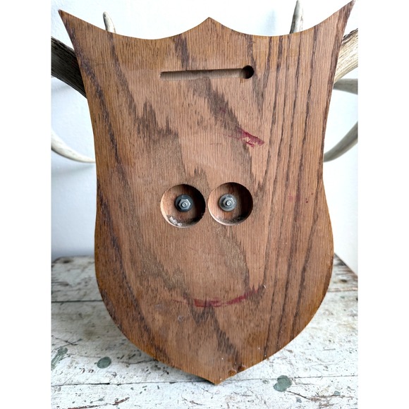 8 Point Whitetail Deer Antler Rack on Oak Plaque Rustic Michigan Mount 20" Wide - Picture 8 of 16